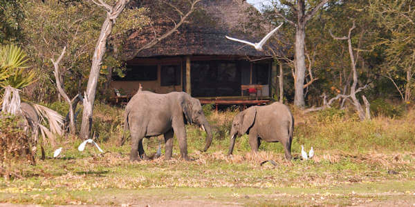 Laba Siwandu Safari Camp exterieur safaritent, Nyerere Nationaal Park in Tanzania Laba Siwandu Safari Camp exterieur safaritent, Nyerere Nationaal Park in Tanzania