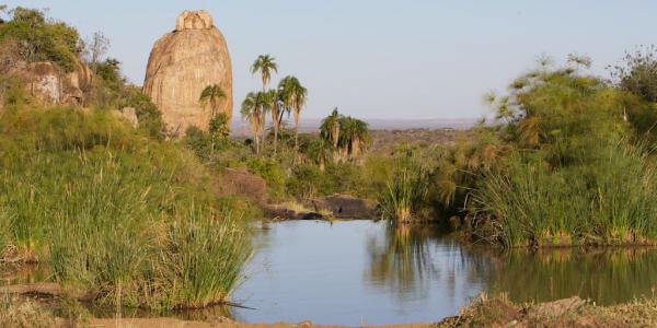 Oase, Laikipia in Kenia
