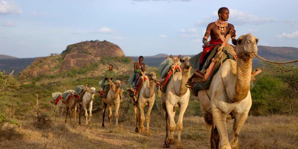 Kameel trektocht met Samburu, Laikipia in Kenia