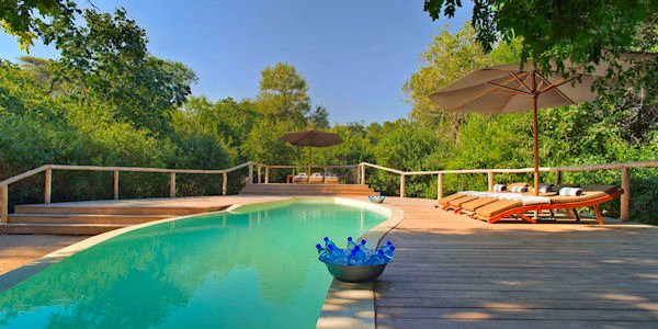 Lake Manyara Tree Lodge accommodatie zwembad lodge, Manyara Nationaal Park in Tanzania Lake Manyara Tree Lodge accommodatie zwembad lodge, Manyara Nationaal Park in Tanzania