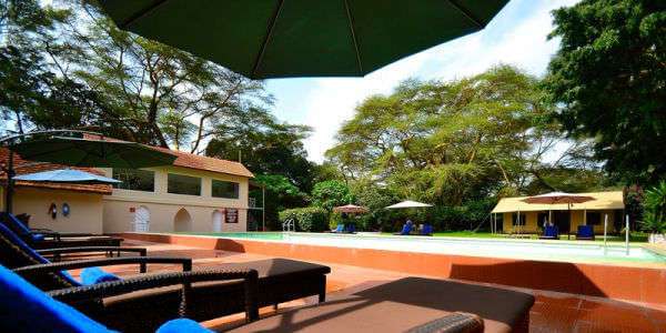 Naivasha Country Club accommodatie zwembad, Naivasha Meer in Kenia Naivasha Country Club accommodatie zwembad, Naivasha Meer in Kenia