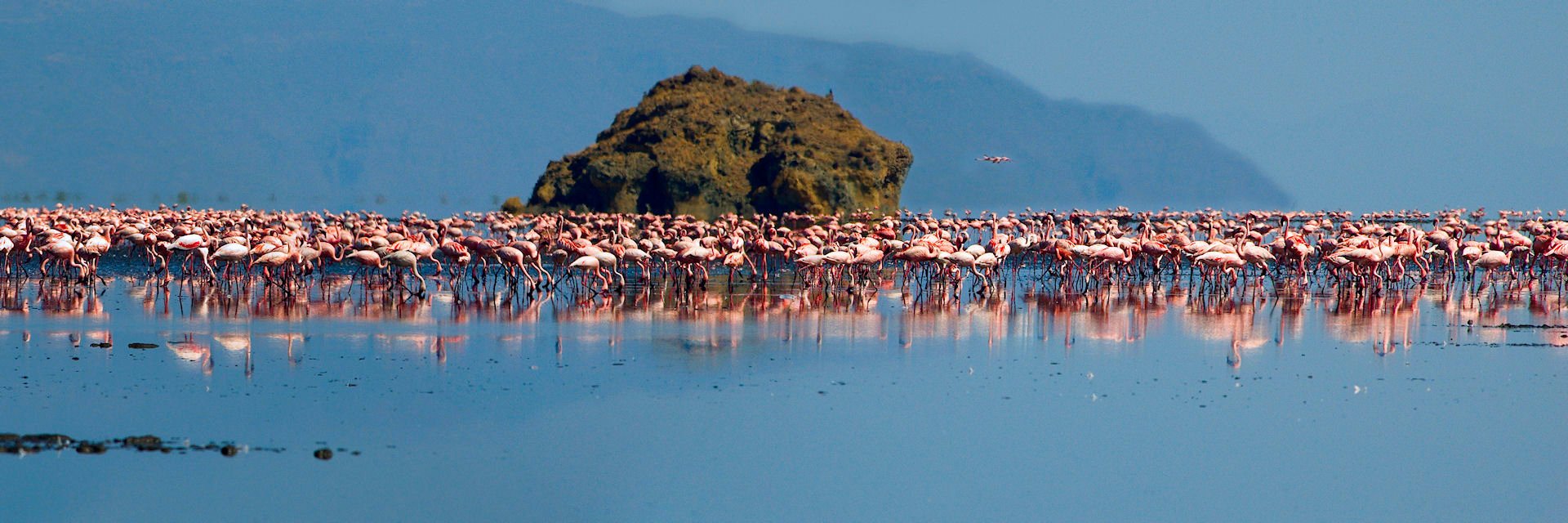 Het natron meer ligt in het noorden van Tanzania aan de grens van Kenia Het natron meer ligt in het noorden van Tanzania aan de grens van Kenia