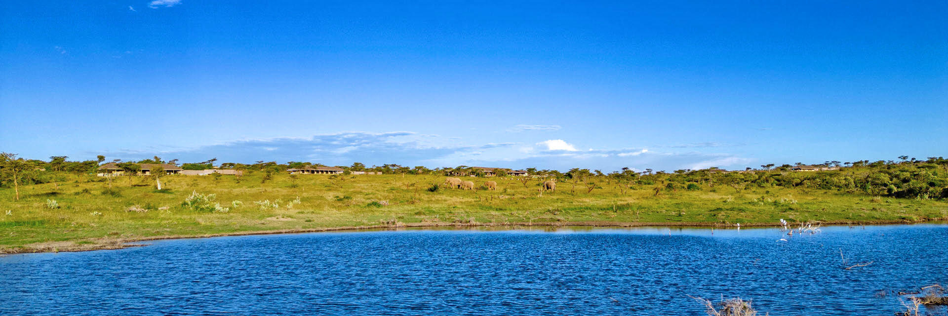 Lalashe Mara is een exclusief kleinschalige lodge centraal gelegen in de Masai Mara Lalashe Mara is een exclusief kleinschalige lodge centraal gelegen in de Masai Mara