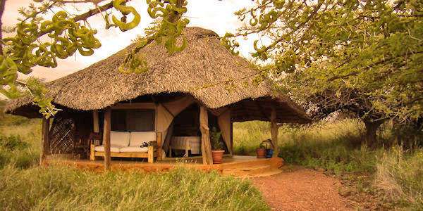 Lewa Safari Camp classic tent, Lewa Downs in Kenia Lewa Safari Camp classic tent, Lewa Downs in Kenia