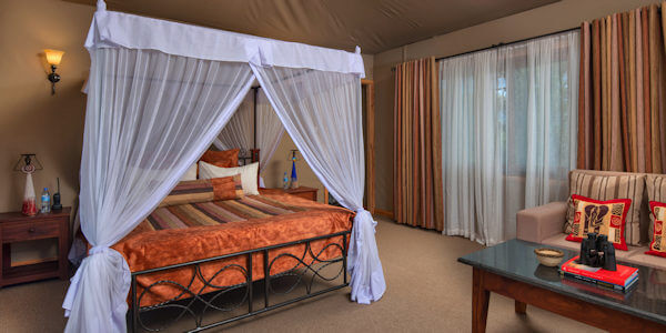 Lions Paw Camp  interieur kamer, Ngorongoro Krater in Tanzania