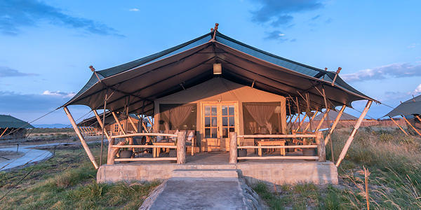 Maisha Sweetwaters Camp schaduwrijk terras standaardtent, Laikipia in Kenia Maisha Sweetwaters Camp schaduwrijk terras standaardtent, Laikipia in Kenia