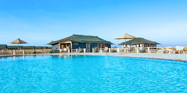 Zwembad met poolbar Zwembad met poolbar