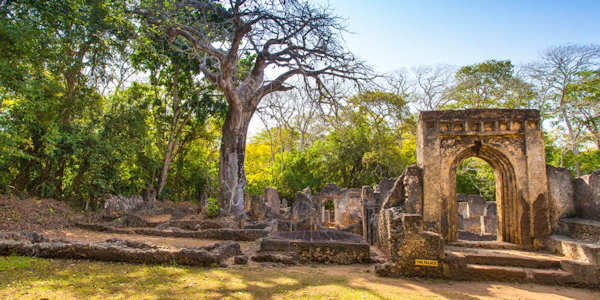 Gedi Ruines - Malindi noordkust Kenia