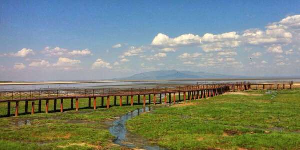 Manyara Boardwalk Manyara Boardwalk