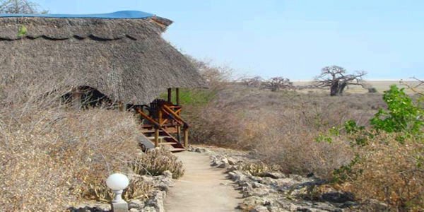 Manyara Wildlife Safari Camp safari tent, Manyara Nationaal Park in Tanzania Manyara Wildlife Safari Camp safari tent, Manyara Nationaal Park in Tanzania