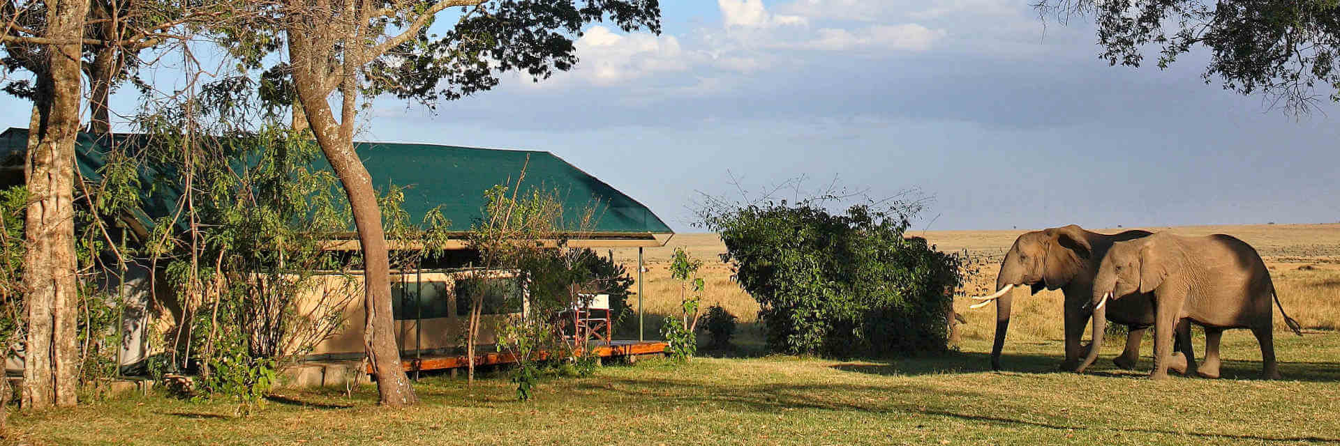 Accommodatie overzicht van lodges en tented camps in de Masai Mara in Kenia Accommodatie overzicht van lodges en tented camps in de Masai Mara in Kenia