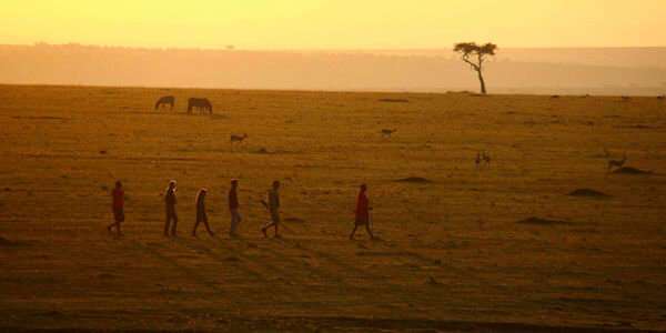 Avontuurlijke wandelingen over de savannes en leer meer over de fascinerende dierenwereld op de Masai. Avontuurlijke wandelingen over de savannes en leer meer over de fascinerende dierenwereld op de Masai.