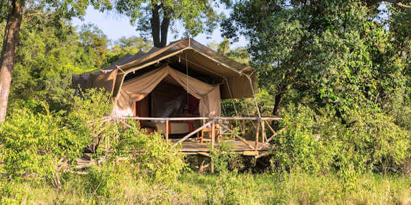 Matira Bushcamp premium tent rivierzicht, Masai Mara in Kenia