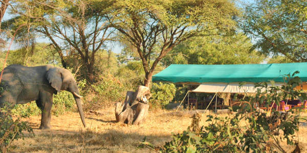 Mdonya Old River Camp klik voor verdere informatie! Mdonya Old River Camp klik voor verdere informatie!