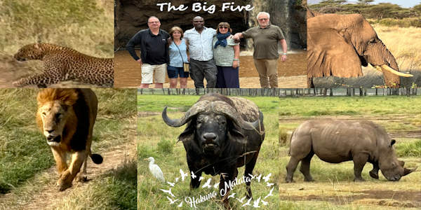 The Big Five - Kenia The Big Five - Kenia