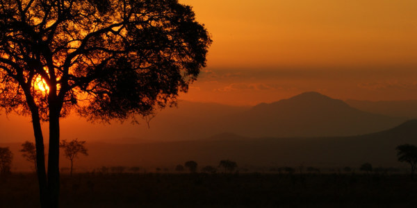 Mikumi Nationaal Park overzicht hotels, lodges en tented camps Mikumi Nationaal Park overzicht hotels, lodges en tented camps