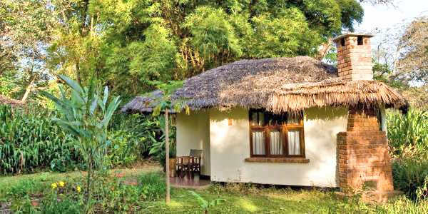 Standaard cottage Standaard cottage