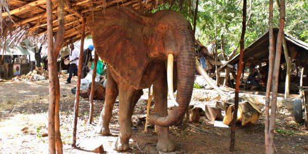 Akamba village Akamba village