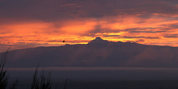 Mount Kenya Nationaal Park, zonsopgang achter de mount kenya gezien vanaf de rhino watch lodge