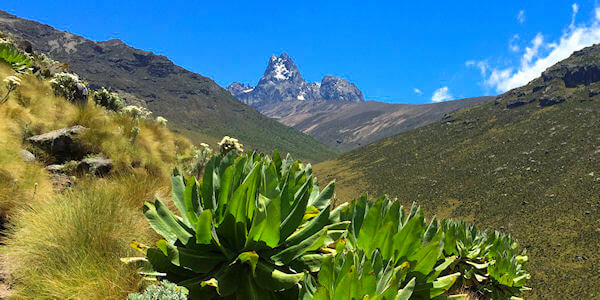 Fascinerend landschap met mooie vergezichten tijdens de trektocht over de hellingen van de Mount Kenya