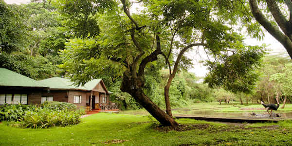 Mount Meru Game Lodge tuin cottages, Arusha Nationaal Park in Tanzania Mount Meru Game Lodge tuin cottages, Arusha Nationaal Park in Tanzania