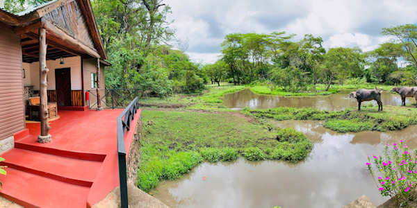 Mount Meru Game Lodge accommodatie concessie cottage, Arusha Nationaal Park in Tanzania Mount Meru Game Lodge accommodatie concessie cottage, Arusha Nationaal Park in Tanzania
