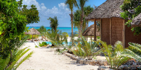 Mwezi Boutique Resort klik voor verdere informatie! Mwezi Boutique Resort klik voor verdere informatie!