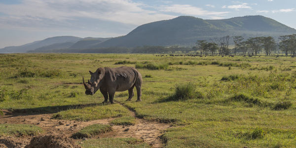 Nairobi, Kenia Nairobi, Kenia