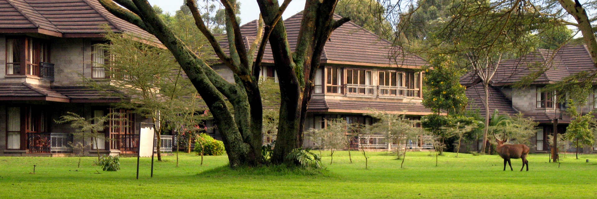 Lake Naivasha Simba Lodge omgeven door een aangelegde tuin omgeven door een acacia woud. Lake Naivasha Simba Lodge omgeven door een aangelegde tuin omgeven door een acacia woud.