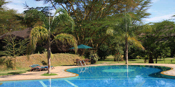 De lodge beschikt over een zwembad met kinderzwembad met een buitenbar en zonneterras. De lodge beschikt over een zwembad met kinderzwembad met een buitenbar en zonneterras, accommodatie Naivasha Meer in Kenia