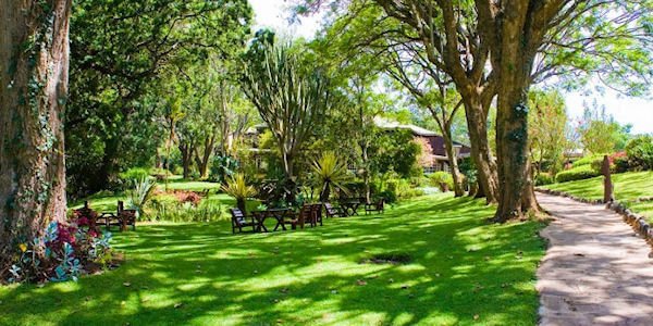 Goed onderhouden gazon met een mooie inheemse tuin met veel bloemsoorten met diverse zithoeken Naro Moru River Lodge goed onderhouden gazon met een mooie inheemse tuin met veel bloemsoorten met diverse zithoeken Mount Kenya Nationaal Park in Kenia