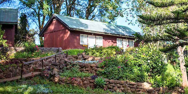 Naro Moru River Lodge standaard kamers liggen nabij de gemeenschappelijke ruimtes Naro Moru River Lodge standaard kamers liggen nabij de gemeenschappelijke ruimtes