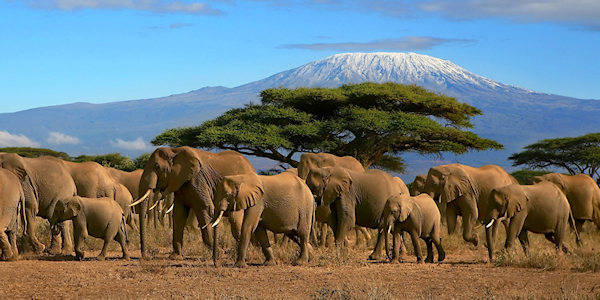 Prive safari  reizen door Rondreis Kenia