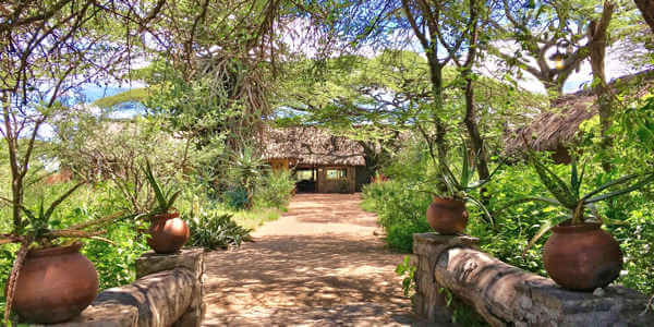 Ndutu Safari Lodge receptie entree, Serengeti Nationaal Park in Tanzania Ndutu Safari Lodge receptie entree, Serengeti Nationaal Park in Tanzania