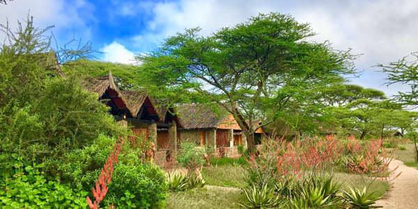 Ndutu Safari Lodge cottage exterieur, Serengeti Nationaal Park in Tanzania Ndutu Safari Lodge cottage exterieur, Serengeti Nationaal Park in Tanzania