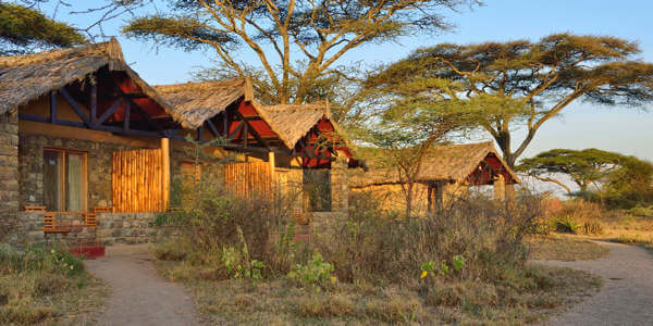 Ndutu Safari Lodge klik voor verdere informatie! Ndutu Safari Lodge klik voor verdere informatie!