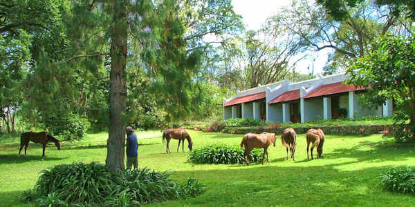 Ngare Sero Mountain Lodge tuinkamers, Arusha Nationaal Park in Tanzania Ngare Sero Mountain Lodge tuinkamers, Arusha Nationaal Park in Tanzania