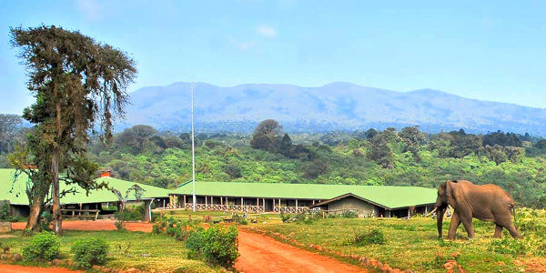 Rhino Lodge klik voor verdere informatie! Rhino Lodge klik voor verdere informatie!