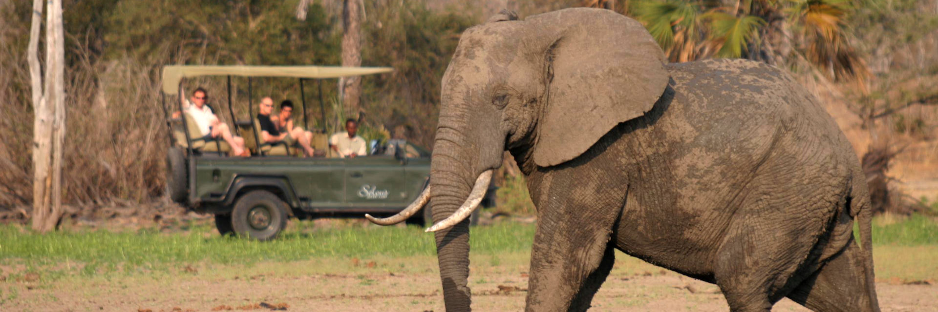 Nyerere nationaal park het grootste wildreservaat van Tanzania. Nyerere nationaal park het grootste wildreservaat van Tanzania.