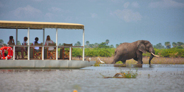 Nyerere Nationaal Park overzicht hotels, lodges en tented camps Nyerere Nationaal Park overzicht hotels, lodges en tented camps