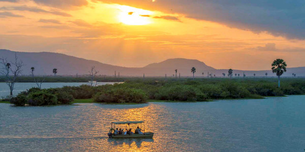 Wild observeren aan de oevers van de Rufiji rivier op een boot safari in het Nyerere nationaal park Wild observeren aan de oevers van de Rufiji rivier op een boot safari in het Nyerere nationaal park