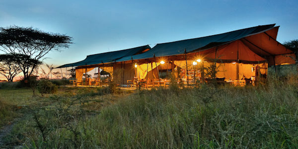 Nyikani Camp Central klik voor verdere informatie! Nyikani Camp Central klik voor verdere informatie!