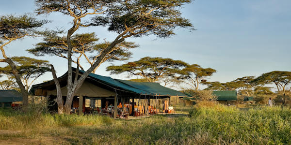 Nyikani Migration Camp klik voor verdere informatie! Nyikani Migration Camp klik voor verdere informatie!