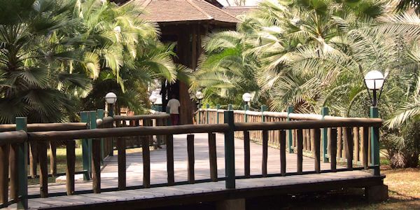 Walkway vanaf de parking naar de receptie en de centrale ruimtes van de accommodatie. Ol Tukai Lodge walkway vanaf de parking naar de receptie en de centrale ruimtes van de accommodatie. Amboseli Nationaal Park in Kenia