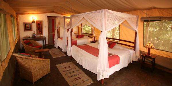 Familiekamer inrichting van de safari tenten in Oloshaiki Camp Familiekamer inrichting van de safari tenten in Oloshaiki Camp