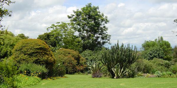 De accommodatie kent een schitterende aangelegde tuin met uitzicht op de Mount Kenya, accommodatie Aberdare Nationaal Park in Kenia