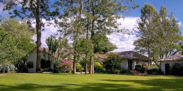 Plantation Lodge lounge en restaurant, Ngorongoro Krater in Tanzania