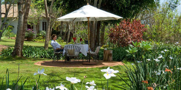 Plantation Lodge accommodatie tuin met vergezichten, Ngorongoro Krater in Tanzania
