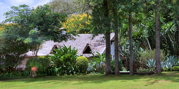 Plantation Lodge klik voor verdere informatie! Plantation Lodge klik voor verdere informatie!