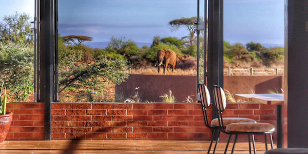 Praro Amboseli Camp uitzicht lounge savanne, Amboseli Nationaal Park in Kenia